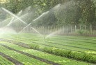 White Patchlandscaping-irrigation-11.jpg; ?>