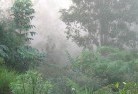 White Patchlandscaping-irrigation-4.jpg; ?>